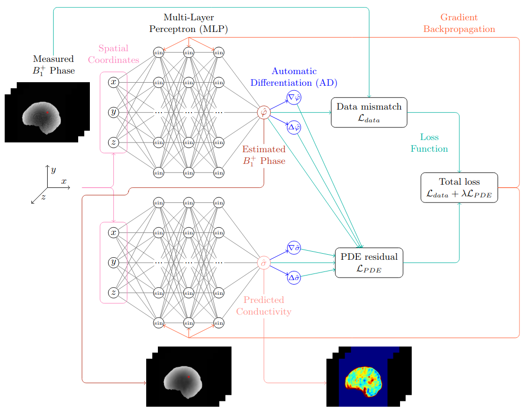 Electrical properties tomography using physics-informed neural networks for brain conductivity reconstruction