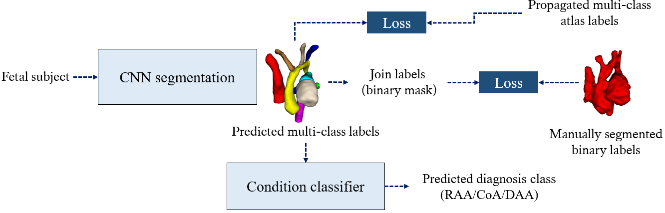 Multi-task Anomaly Segmentation and Classification